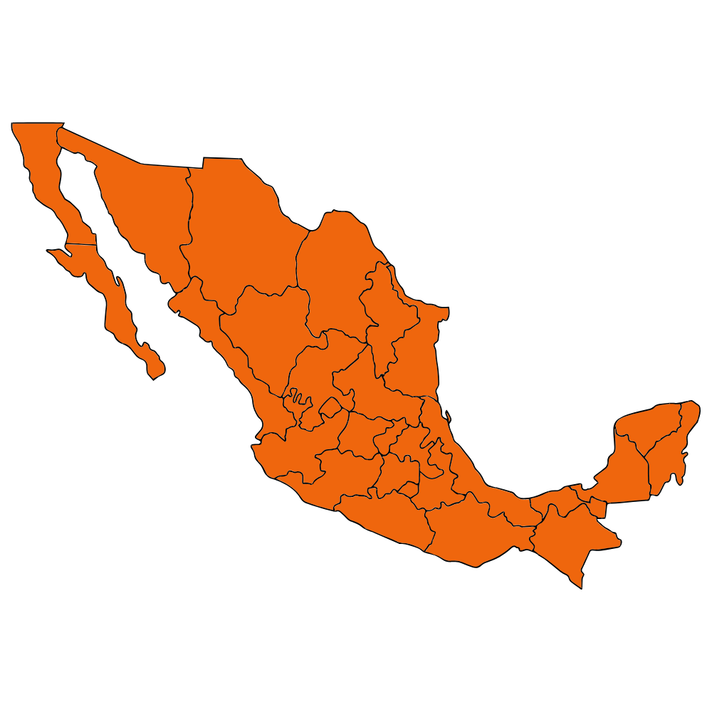 Gestión de Licencia Federal en toda la República Mexicana